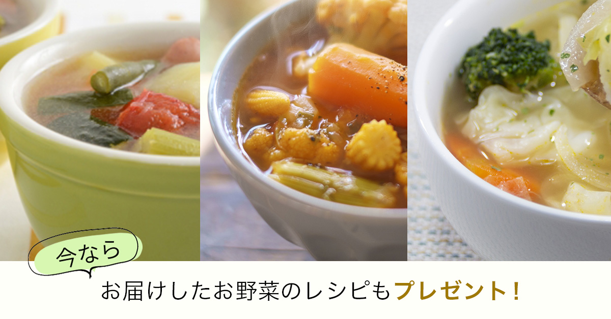 料理レシピの写真三種類